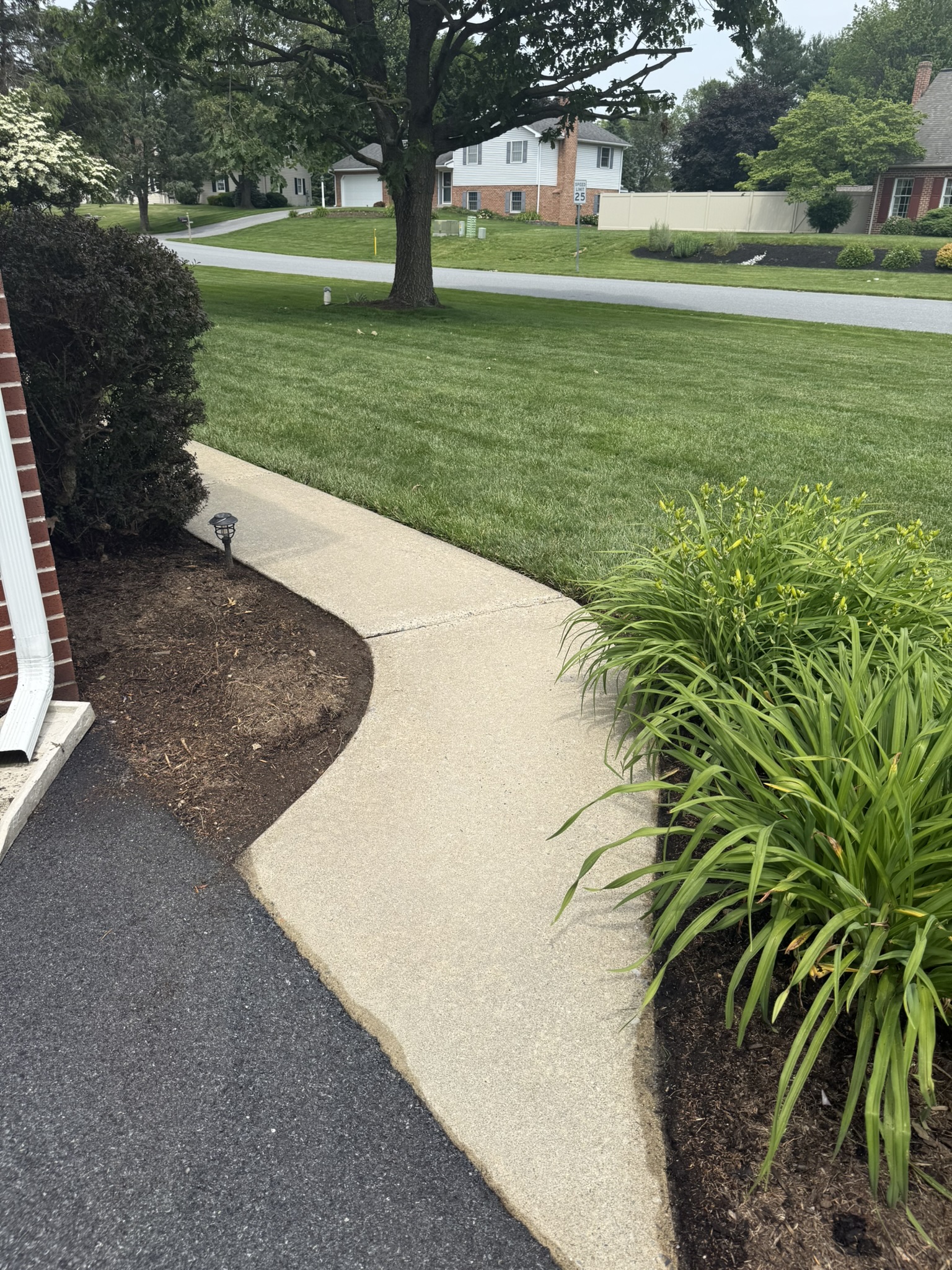 Driveway section after pressure washing