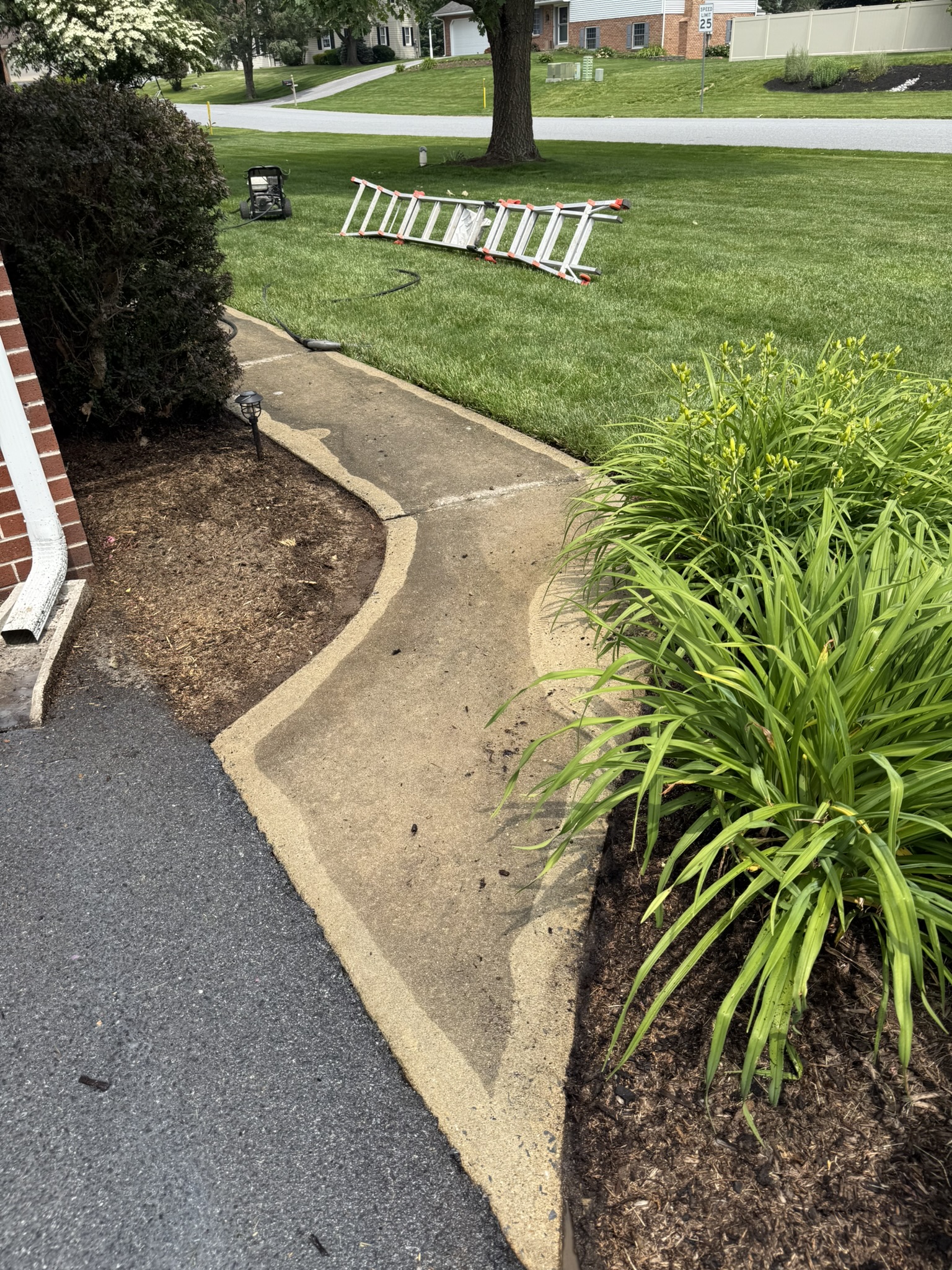 Driveway section before pressure washing